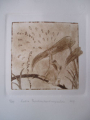 Dry point, Ex libris the frog, imp. 2011 -- Dimensions: 14.8 x 15 cm