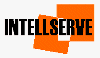 INTELLSERVE Ltd