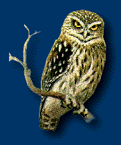 ATHINA Project Emblem