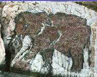Petrifaction of pygmy elephant.